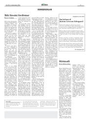 Síða 11