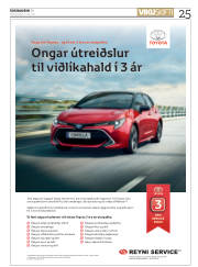 Síða 25