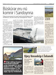 Síða 3