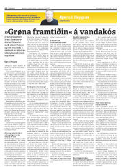 Síða 12