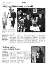 Síða 17