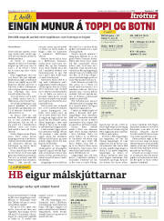 Síða 17