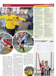 Síða 19