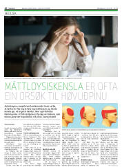 Síða 18