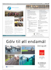 Síða 21