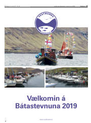 Síða 25