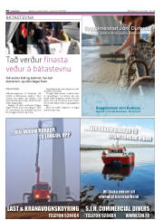 Síða 30