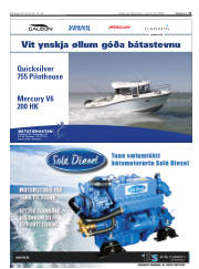 Síða 31