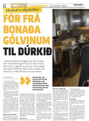 Síða 6