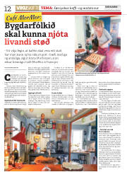 Síða 12