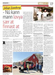 Síða 17