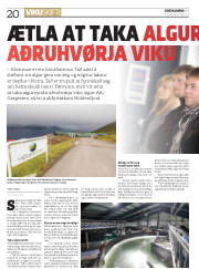 Síða 20