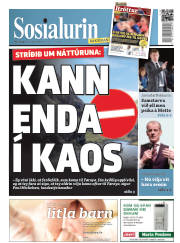 Síða 1