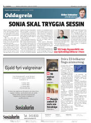 Síða 2