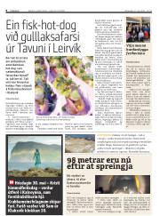Síða 8