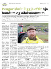 Síða 6