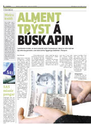 Síða 8