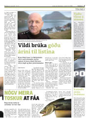 Síða 9