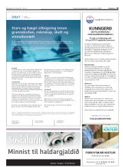 Síða 19