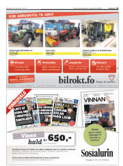 Síða 21