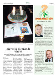 Síða 29