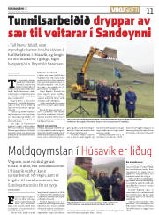 Síða 11