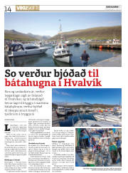 Síða 14