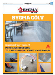 Síða 31