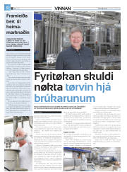 Síða 36