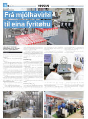 Síða 38