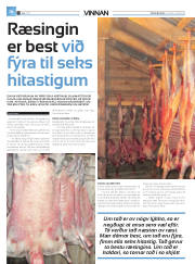 Síða 40