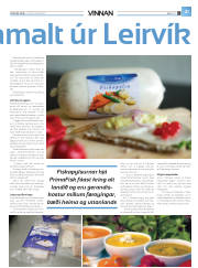 Síða 45