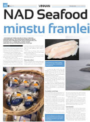Síða 46