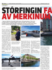 Síða 10
