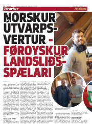 Síða 22