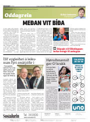 Síða 2