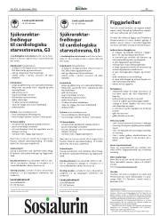 Síða 39