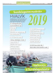 Síða 29