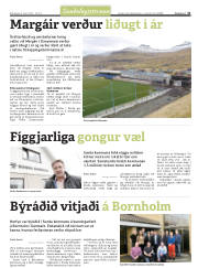 Síða 31