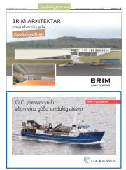 Síða 33