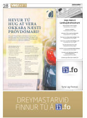 Síða 28