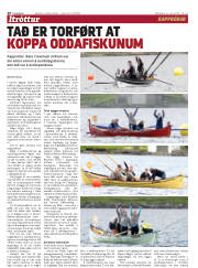 Síða 20
