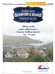 Síða 25