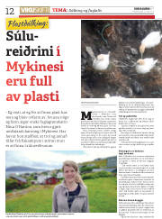 Síða 12