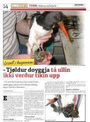 Síða 14