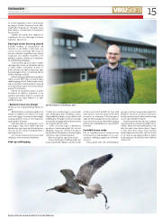 Síða 15