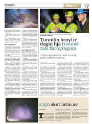 Síða 17