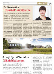 Síða 19