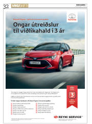Síða 32