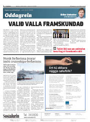 Síða 2